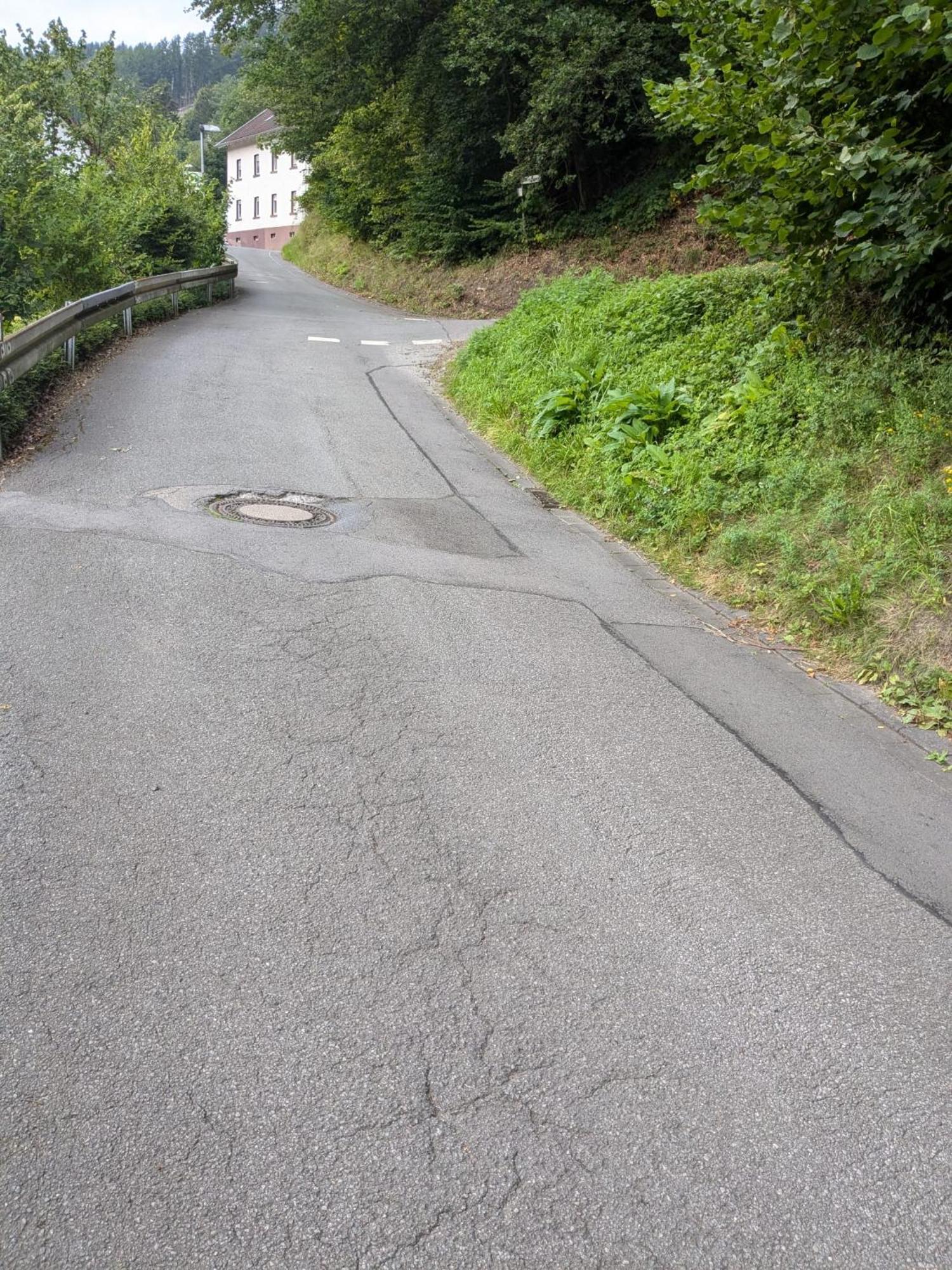 Schoene Ferienwohnung In Ruhiger Lage アルテナ エクステリア 写真